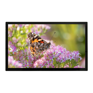  Module LCD 23,8&nbsp;' avec contact capacitif (PCAP)