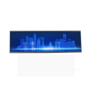 Pantalla LCD de barra estirada-29 pulgadas DV290FBM-N10